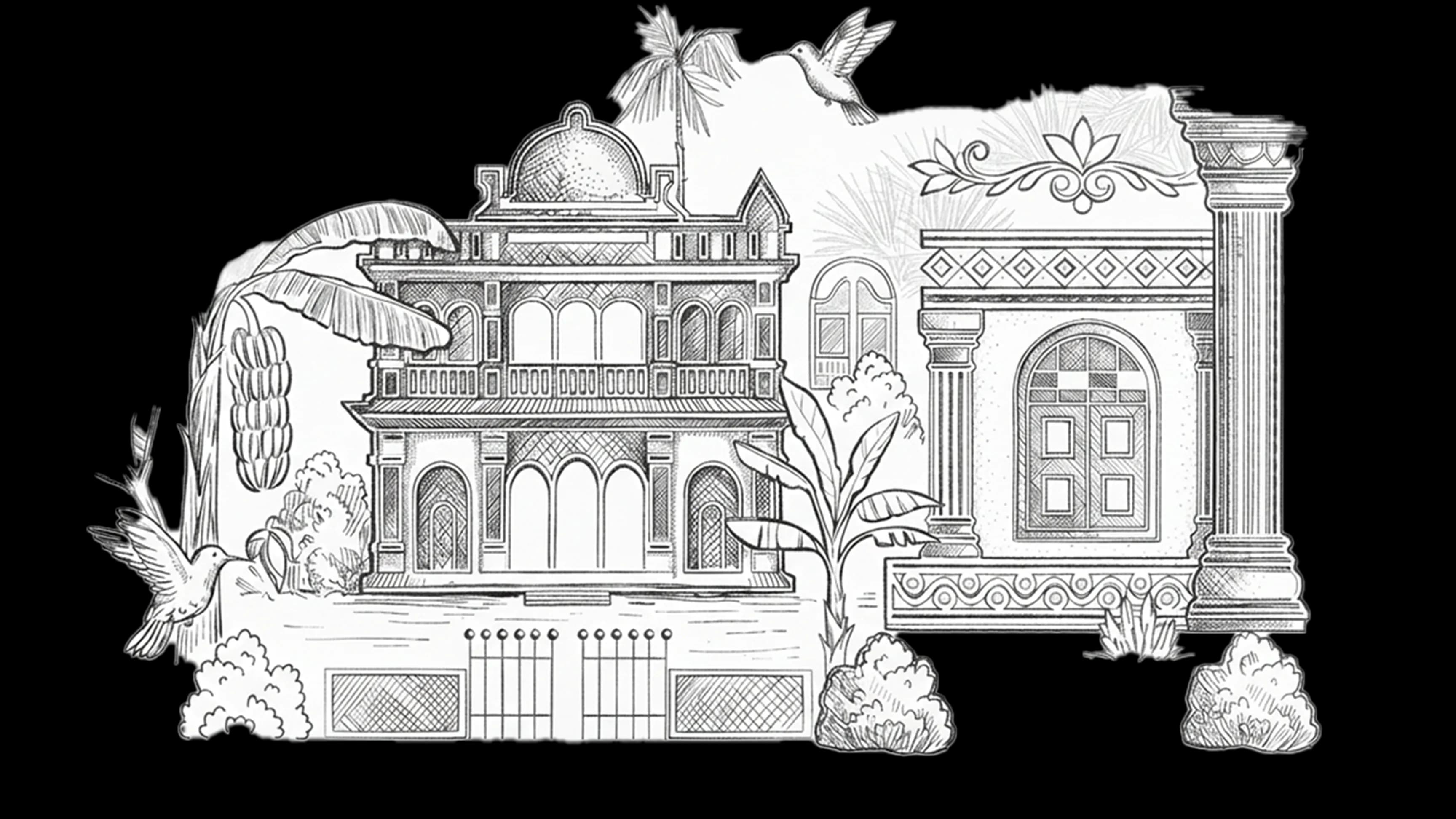 background illustration