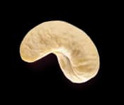 Cashew